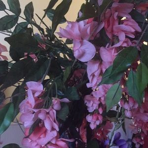 Meet your Posher, Desrine